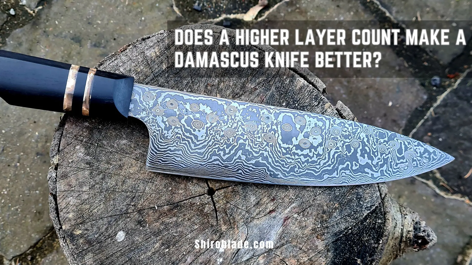 You are currently viewing Damascus Layer Count Explained: Does More Layers Mean a Better Knife?