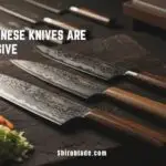 Why Japanese Knives Are So Expensive? Are They Actually Worth the Price?