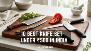Read more about the article 10 Best Kitchen Knife Set Under ₹500 in India